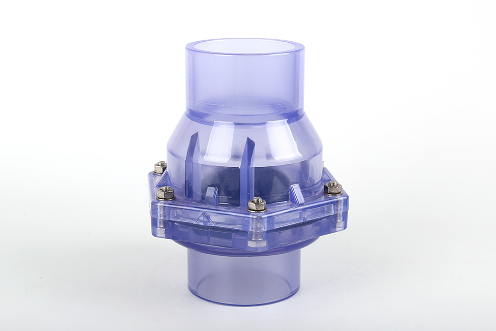 扬中透明翻板式止回阀